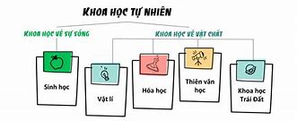 Khoa Học Tự Nhiên Bằng Tiếng Anh