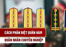 Quân Hàm Quân Nhân Chuyên Nghiệp Biên Phòng