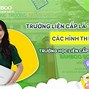 Trường Liên Cấp Là Trường Gì