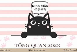 Tử Vi Đinh Mão 1987 Nữ Mạng Năm 2023