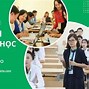 Yêu Cầu Bằng Cấp Giảng Viên Đại Học